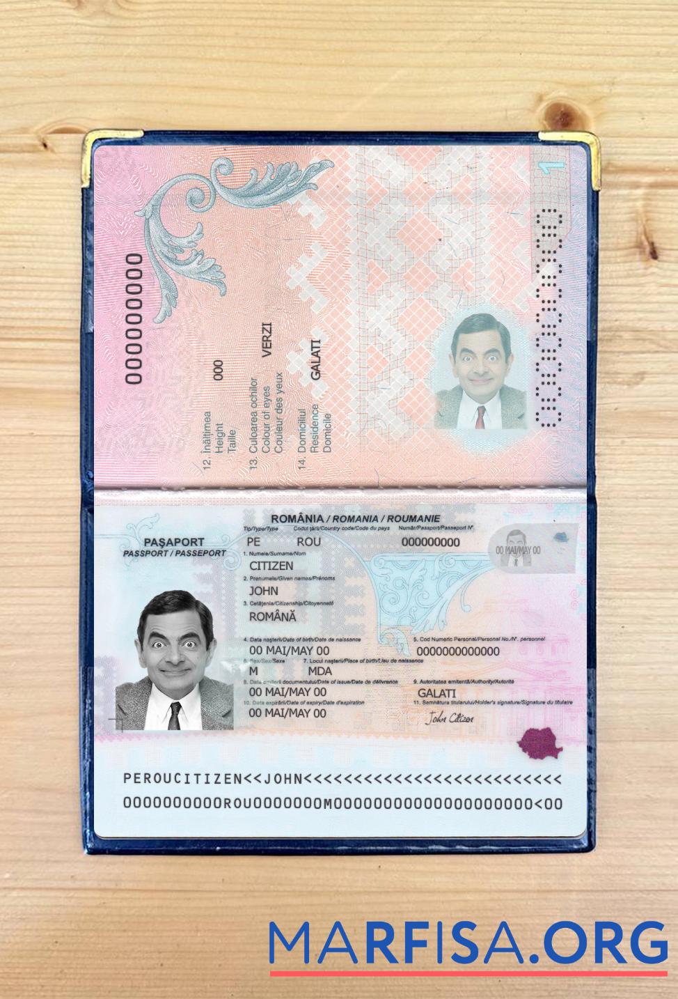 Blank Romania passport 2021 present photolook sample